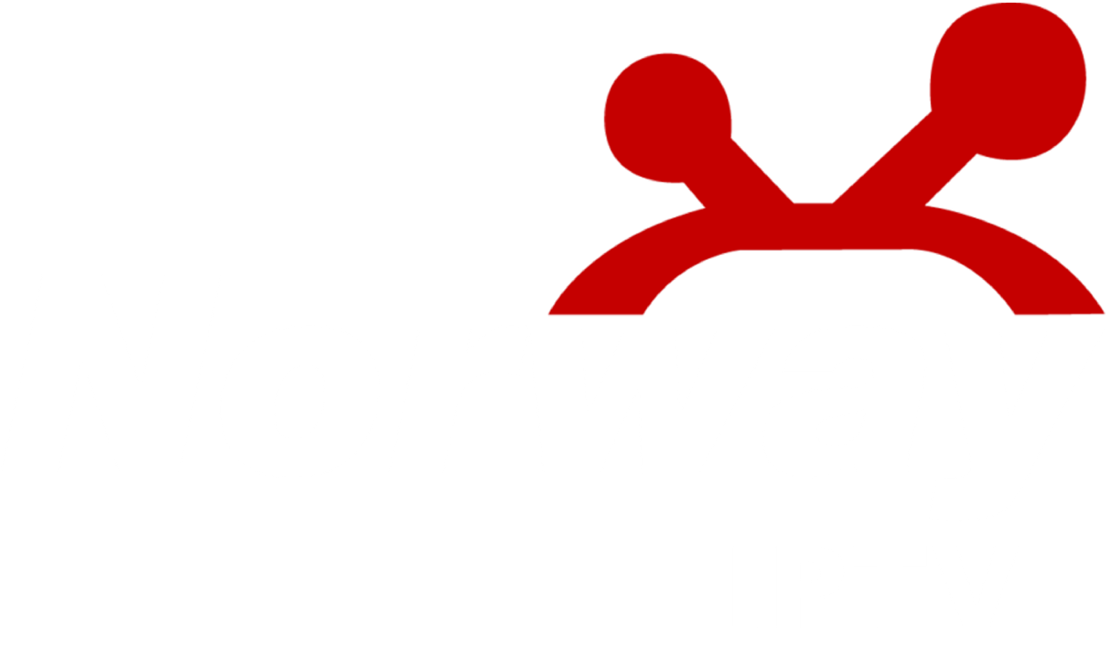 norway iptv logo WHITE